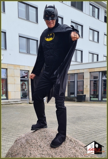 Verteidigung des Rathauses - Batman